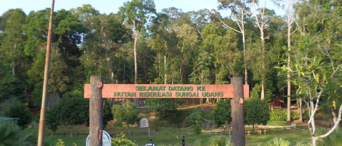 Gereja Terbaik di Sungai Udang 1 serper image 79 1781238904